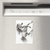 Aimant Sauvage et Libre (In Situ (Lave-vaisselle))