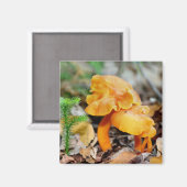 Aimant sauvage orange de photographie de nature de (Recto/Verso)