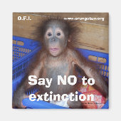 Aimant Sauvegarder la conservation de la faune (Devant)