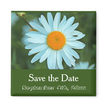 sauver la date, fleur de marguerite blanche pure v