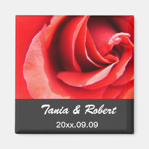 Aimant sauver la date, fleur de rose rouge