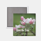 Aimant sauver la date, fleurs de pommier (Recto/Verso)