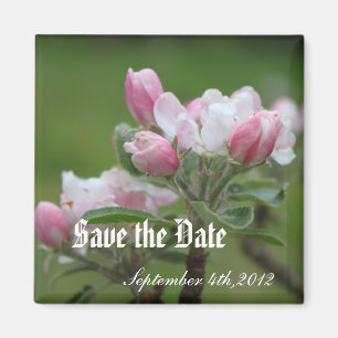 Aimant sauver la date, fleurs de pommier