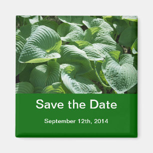 Aimant sauver la date. grande plante verte feuillue