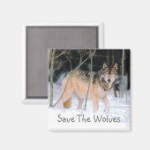 AIMANT SAUVER LES LOUPS (Recto/Verso)