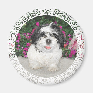 Aimant Sauvetage de chiot Shih Tzu noir et blanc