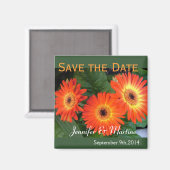 Aimant Sauvez la date, fleurs de marguerite gerbera (Recto/Verso)