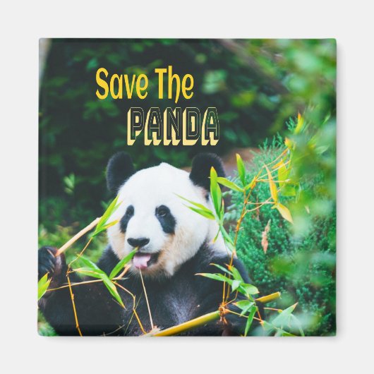 Aimant Sauvez Le Panda (Devant)