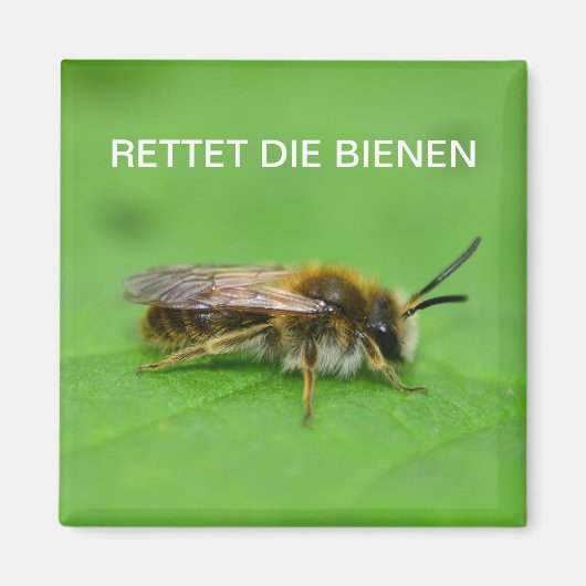 Aimant Sauvez les abeilles (Devant)