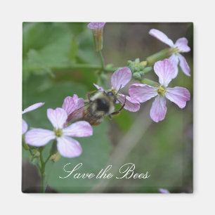 Aimant Sauvez les abeilles… Le radis fleurit l'aimant