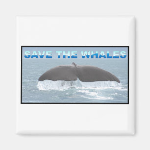 Aimant Sauvez les baleines