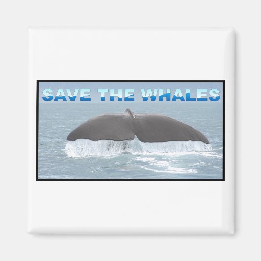 Aimant Sauvez les baleines (Devant)