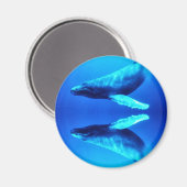 Aimant Sauvez les baleines (Recto/Verso)