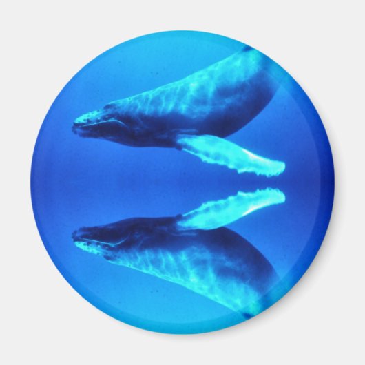 Aimant Sauvez les baleines (Devant)