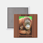Aimant Sauvez les Orangutans (Recto/Verso)