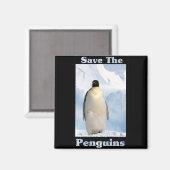 Aimant Sauvez les pingouins (Recto/Verso)