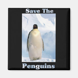 Aimant Sauvez les pingouins