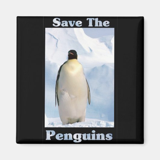 Aimant Sauvez les pingouins (Devant)