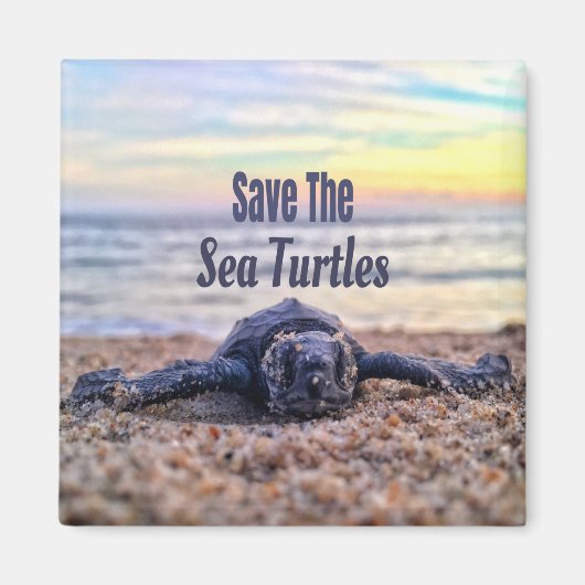 Aimant Sauvez les tortues marines (Devant)