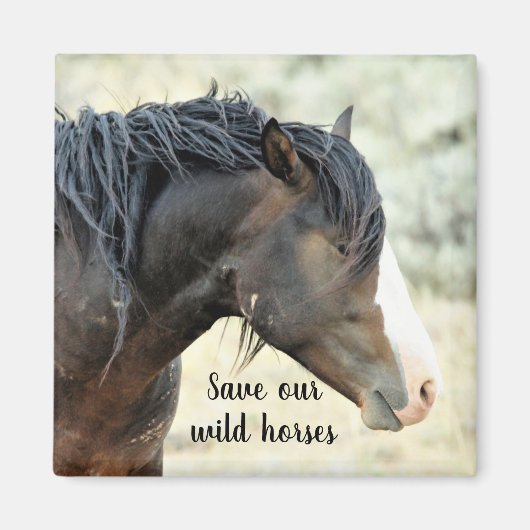 Aimant Sauvez nos Mustangs sauvages de l'Occident (Devant)