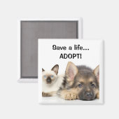 Aimant Sauvez une vie... ADOPTER ! (Recto/Verso)