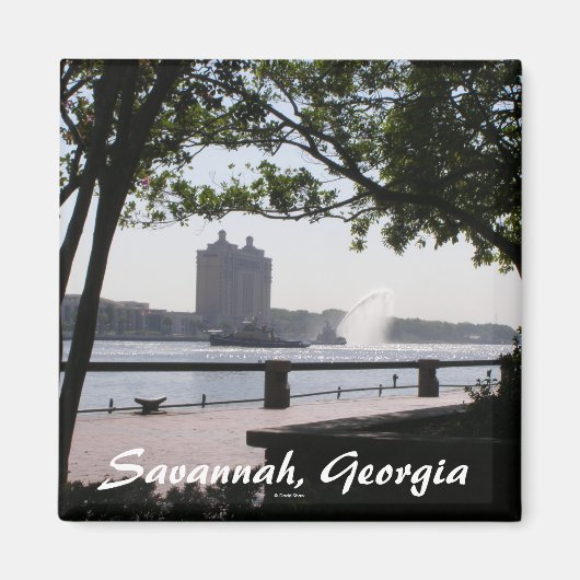 Aimant Savannah, Géorgie (Devant)