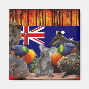 Aimant Save Our Homes - Extinguish