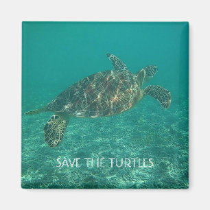 Aimant save the turtles