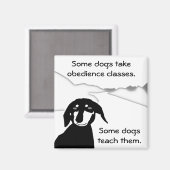 Aimant Savvy Sausdom - Classes d'obéissance (Recto/Verso)