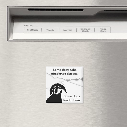 Aimant Savvy Sausdom - Classes d'obéissance (In Situ (Lave-vaisselle))