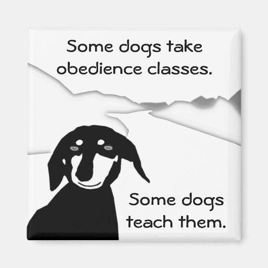 Aimant Savvy Sausdom - Classes d'obéissance (Devant)