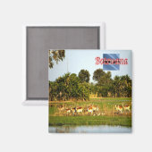 Aimant sBW009 BOTSWANA, Groupe de femmes Lechwe, Frigo (Recto/Verso)