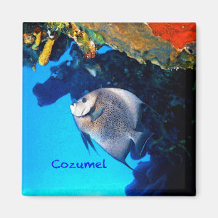 Aimant Scalaire de Cozumel