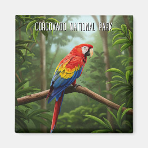 Aimant Scarlet Macaw dans le parc national du Corcovado V