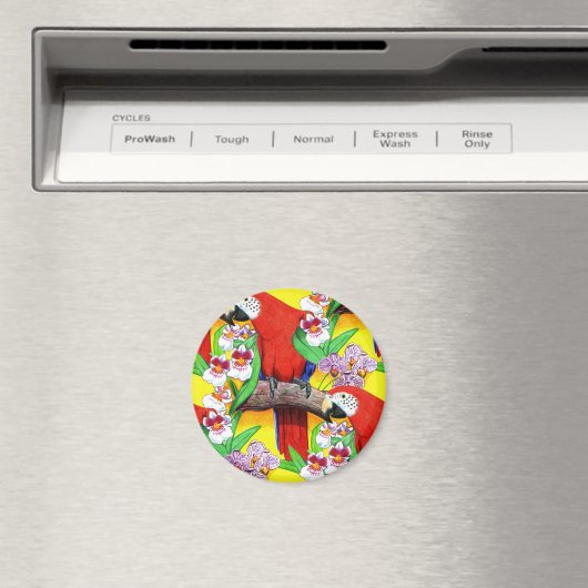 Aimant Scarlet McCaw (In Situ (Lave-vaisselle))