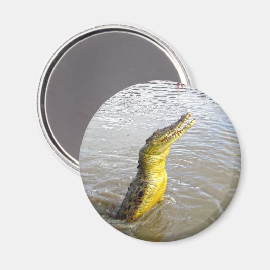 Aimant Scary Snappers : Le Saut du Crocodile, (Recto/Verso)