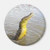 Aimant Scary Snappers : Le Saut du Crocodile, (Devant)