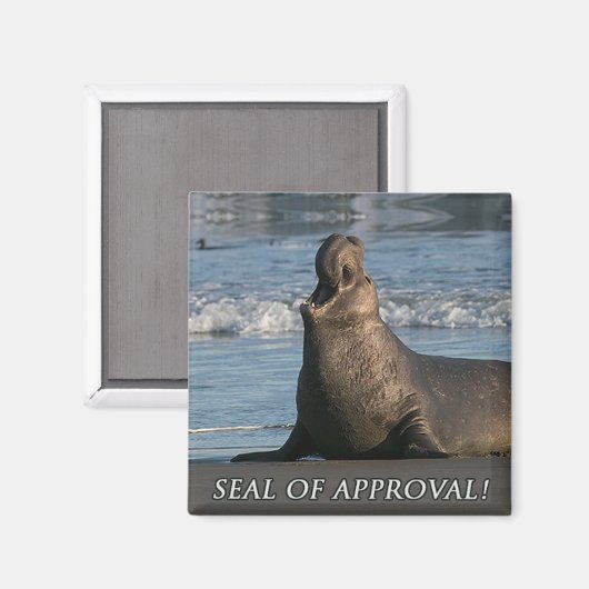 Aimant Sceau d'éléphant d'approbation (Recto/Verso)