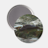 Aimant Sceau du port de Sunset Lit II à San Diego (Recto/Verso)