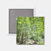 Aimant Scène de Forêt Verte Magique. (Recto/Verso)