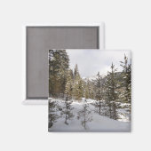 Aimant Scene hivernale de montagne neige au Montana (Recto/Verso)