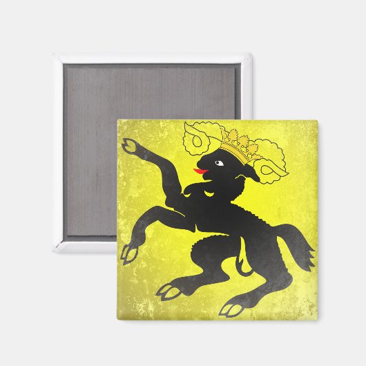 Aimant Schaffhausen (Recto/Verso)