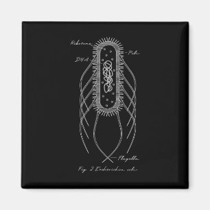 Aimant Schéma Rétro E. Coli Microbiologie Scien