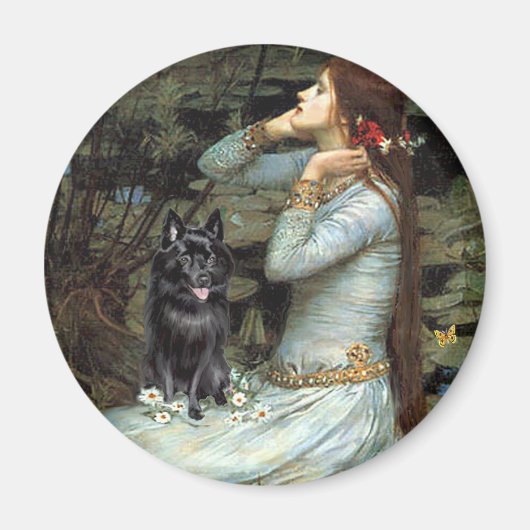 Aimant Schipperke 4 - Ophelia assise (Devant)
