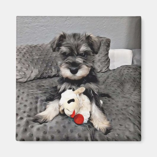 Aimant Schnauzer (Devant)
