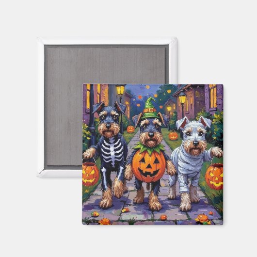 Aimant Schnauzer faisant Trick-or-Treating dans des costu (Recto/Verso)