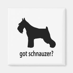 Aimant Schnauzer obtenu