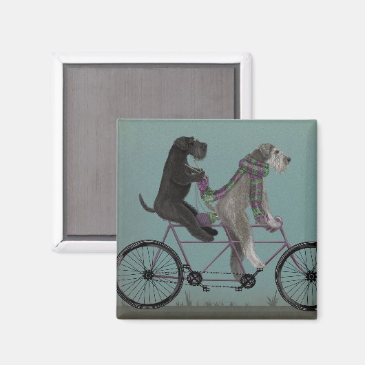 Aimant Schnauzer Tandem (Recto/Verso)