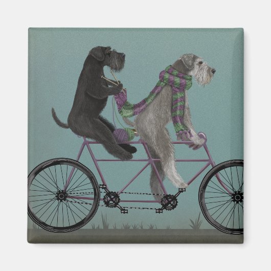 Aimant Schnauzer Tandem (Devant)