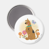 Aimant Scooby-Doo Après Papillon (Recto/Verso)